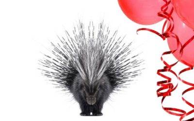 Staged Reading: Porcupine